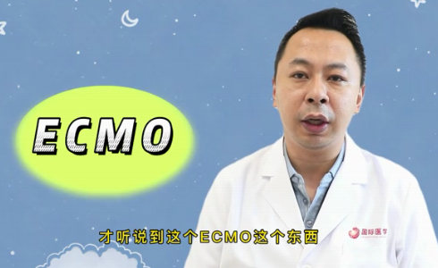 什么是ECMO？