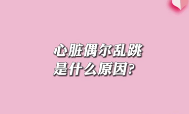 【名醫(yī)面對(duì)面之心臟100問(wèn)】心臟偶爾亂跳是什么原因？