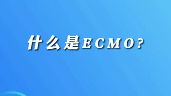 【名醫(yī)面對面之心臟100問】什么是ECMO？