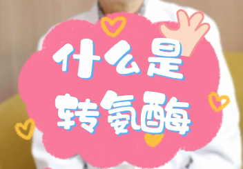 【名醫(yī)面對面之消化100問】什么是轉(zhuǎn)氨酶？