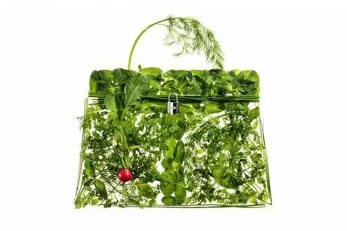 蔬菜界的“愛(ài)馬仕”會(huì)中毒致癌？