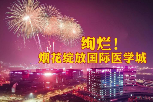 絢爛！煙花綻放國際醫(yī)學(xué)城